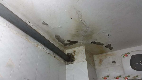 Sơn nước Đà Lạt | Chống thấm Đà Lạt| Bách Tùng