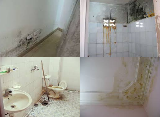 Phần tường nhà vệ sinh bị bong tróc cảnh báo công trình đang bị thấm dột